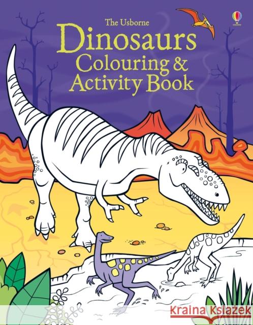 Dinosaurs Colouring and Activity Book Kirsteen Robson 9781409566229