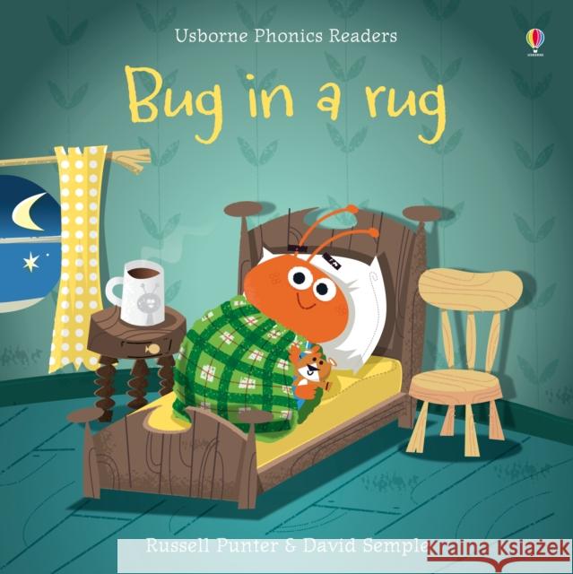 Bug in a Rug Russell Punter 9781409580430 Usborne Publishing Ltd