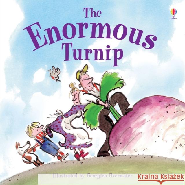 Enormous Turnip Katie Daynes 9781409580478 Usborne Publishing Ltd