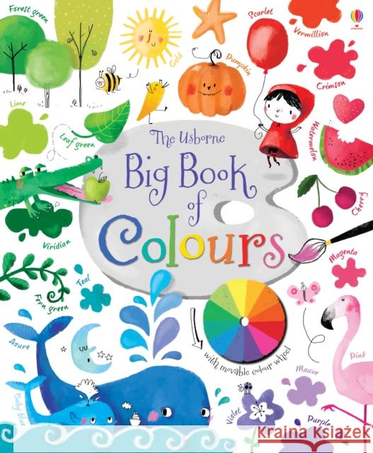 Big Book of Colours Brooks Felicity 9781409582472