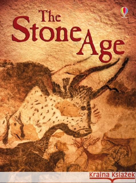 The Stone Age Jerome Martin 9781409586418