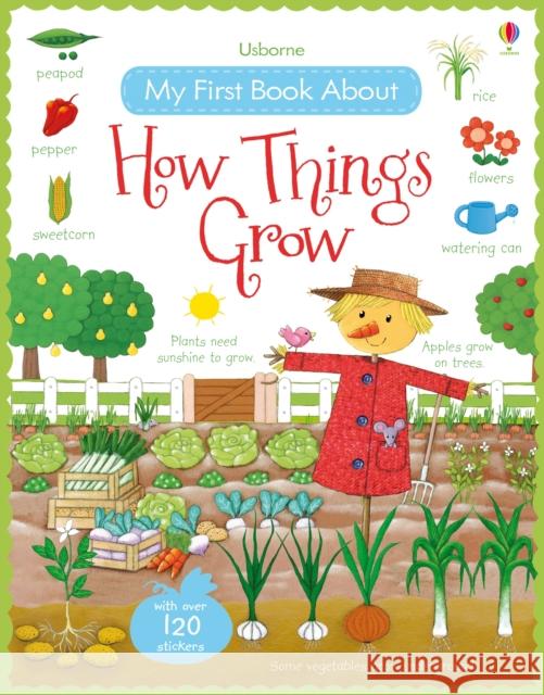 My First Book About How Things Grow Felicity Brooks 9781409593584 Usborne Publishing Ltd
