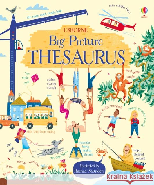 Big Picture Thesaurus Rosie Hore 9781409598749