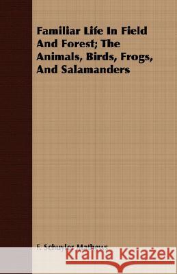 Familiar Life in Field and Forest; The Animals, Birds, Frogs, and Salamanders Mathews, F. Schuyler 9781409702924 