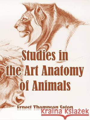 Studies in the Art Anatomy of Animals Ernest Thompson Seton 9781410106636 Fredonia Books (NL)
