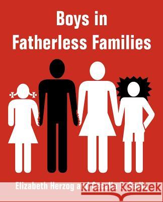 Boys in Fatherless Families Elizabeth Herzog, Cecelia E Sudia 9781410216953 University Press of the Pacific