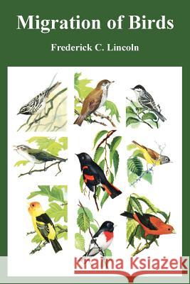 Migration of Birds Frederick C. Lincoln 9781410219541 University Press of the Pacific