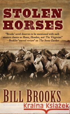 Stolen Horses Bill Brooks 9781410482013 Thorndike Press Large Print