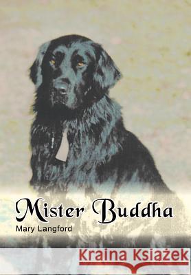 Mister Buddha Mary Langford 9781410709219