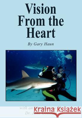 Vision from the Heart Gary Haun 9781410739186 Authorhouse