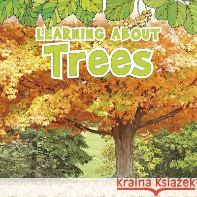 Learning about Trees Catherine Veitch 9781410954077 Capstone Raintree