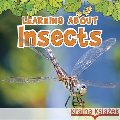 Learning about Insects Catherine Veitch 9781410954084 Capstone Raintree