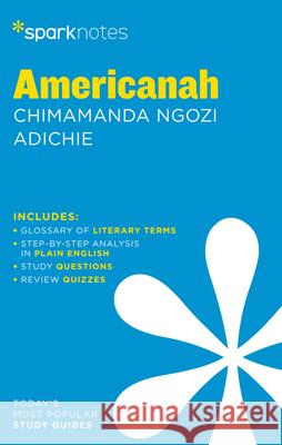 Americanah by Chimamanda Ngozi Adichie Sparknotes 9781411480247 Sparknotes