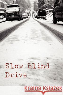 Slow Blind Drive Gwen O'Toole 9781411614178