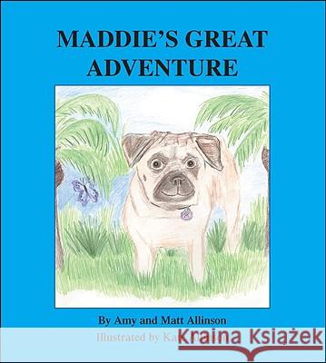 Maddie's Great Adventure Amy Allinson, Matt Allinson, Kate Allinson 9781412068055