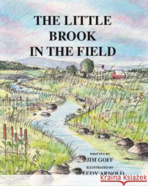 The Little Brook in the Field  9781412077972 Trafford Publishing