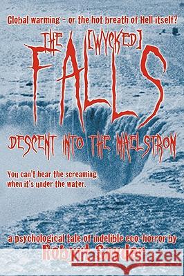 The Falls: Descent Into the Maelstrom Snyder, Robyrt 9781412201285