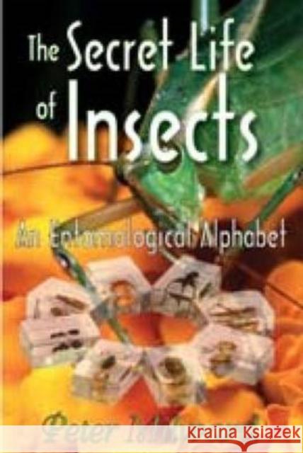 The Secret Life of Insects: An Entomological Alphabet Milward, Peter 9781412810111