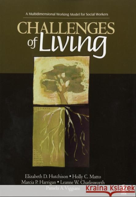 Challenges of Living: A Multidimensional Working Model for Social Workers Hutchison, Elizabeth D. 9781412908993