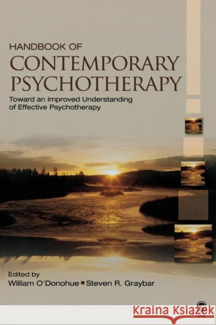 Handbook of Contemporary Psychotherapy: Toward an Improved Understanding of Effective Psychotherapy O′donohue, William T. 9781412913652
