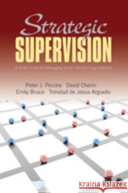 Strategic Supervision: A Brief Guide for Managing Social Service Organizations Pecora, Peter J. 9781412915434