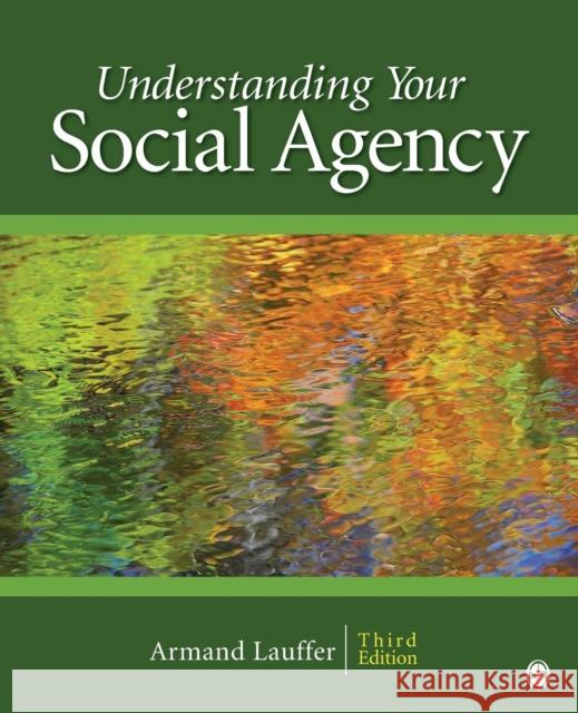 Understanding Your Social Agency Rory Ridley-Duff 9781412926539 0