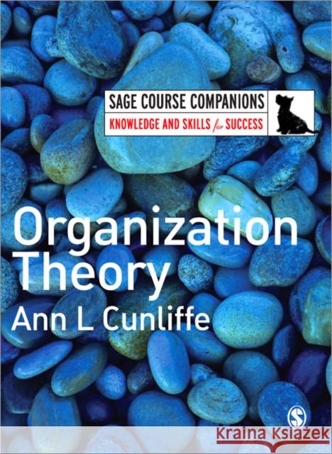 Organization Theory Ann L. Cunliffe 9781412935494 Sage Publications