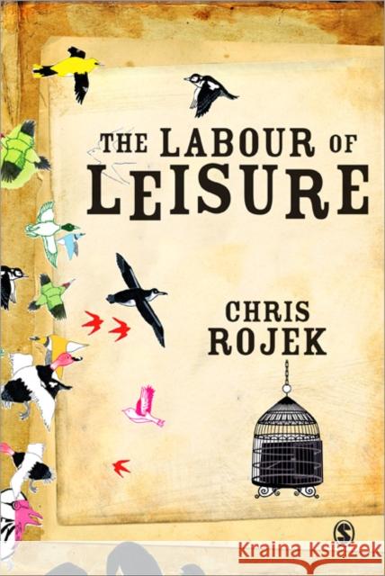 The Labour of Leisure: The Culture of Free Time Rojek, Chris 9781412945530