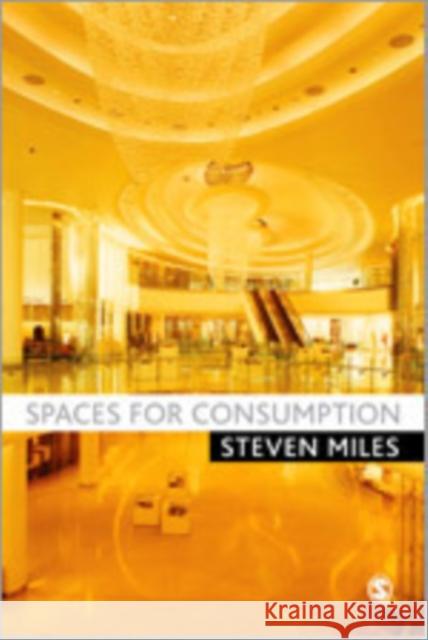 Spaces for Consumption: Pleasure and Placelessness in the Post-Industrial City Miles, Steven 9781412946650 Sage Publications (CA)