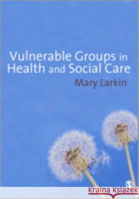 Vulnerable Groups in Health and Social Care Mary Larkin 9781412948234 Sage Publications (CA)