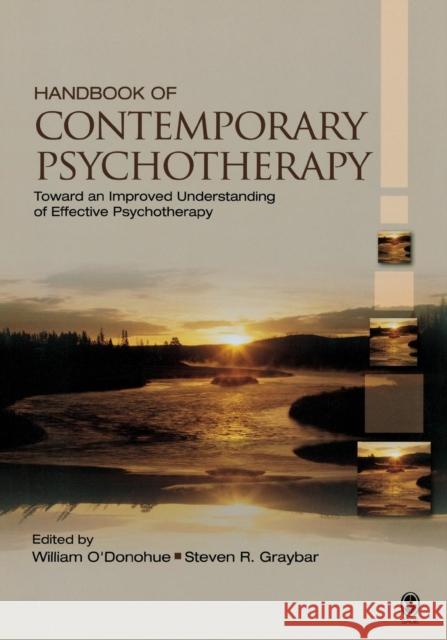 Handbook of Contemporary Psychotherapy: Toward an Improved Understanding of Effective Psychotherapy O′donohue, William T. 9781412968201