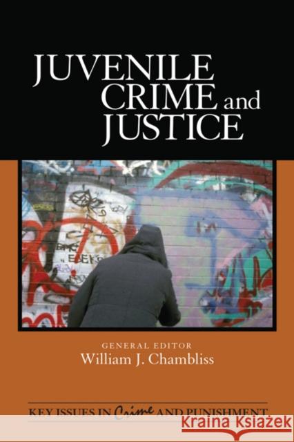 Juvenile Crime and Justice William J. Chambliss 9781412978583 Sage Publications (CA)