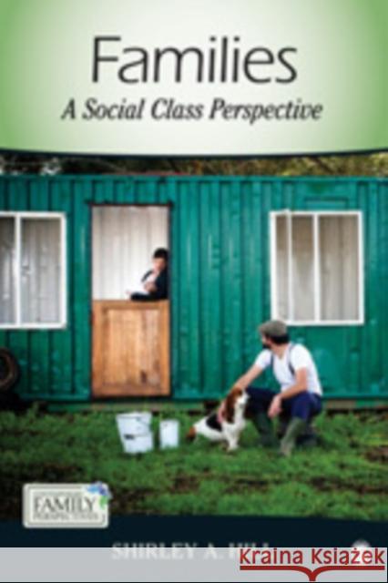 Families: A Social Class Perspective Hill, Shirley A. 9781412998017