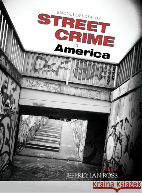 Encyclopedia of Street Crime in America Jeffrey Ian Ross 9781412999571