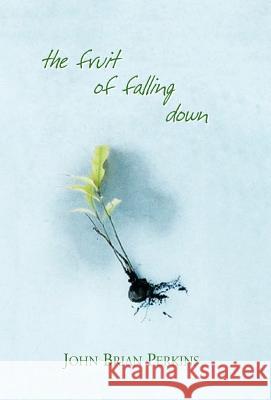 The Fruit of Falling Down John Brian Perkins 9781413434910