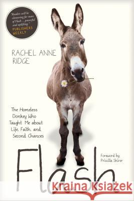 Flash: The Homeless Donkey Who Taught Me about Life, Faith, and Second Chances Rachel Anne Ridge Priscilla Shirer 9781414397849 Tyndale Momentum