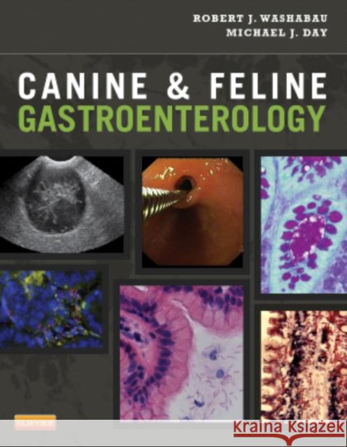 Canine & Feline Gastroenterology Washabau, Robert J. 9781416036616 W.B. Saunders Company