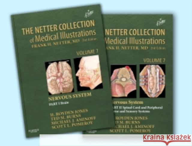 The Netter Collection of Medical Illustrations: Nervous System Package: 2-Volume Set Aminoff, Michael J. 9781416063841 W.B. Saunders Company