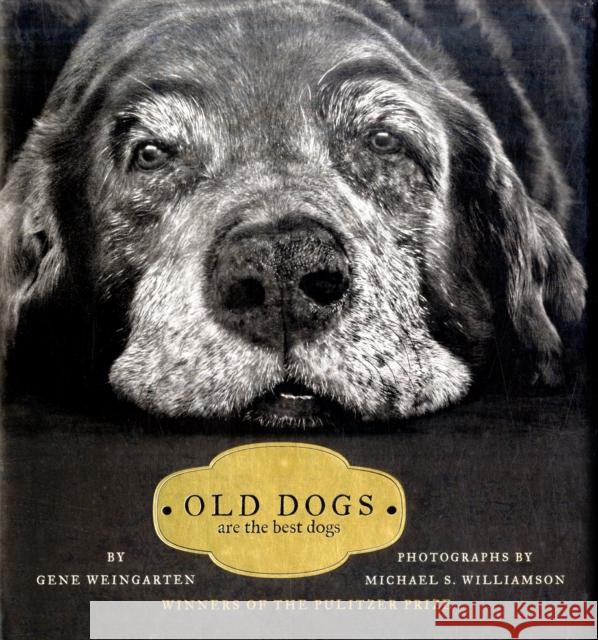 Old Dogs: Are the Best Dogs Gene Weingarten, Michael S. Williamson 9781416534990 Simon & Schuster