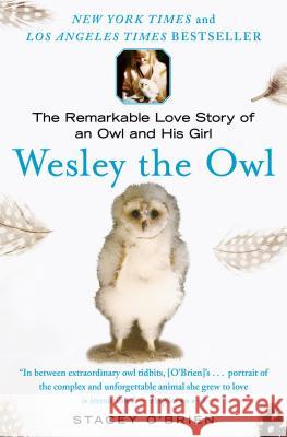 Wesley the Owl: The Remarkable Love Story of an Owl and His Girl Stacey O'Brien 9781416551775 Free Press