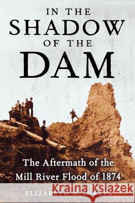In the Shadow of the Dam, The Aftermath of the Mill River Flood of 1874 Elizabeth M. Sharpe 9781416572640 Simon & Schuster
