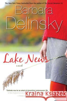 Lake News Barbara Delinsky 9781416579571 Pocket Books