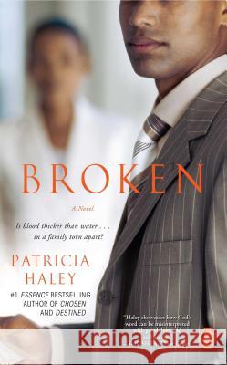 Broken Patricia Haley 9781416580645 Simon & Schuster