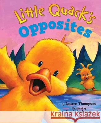 Little Quack's Opposites Lauren Thompson Derek Anderson 9781416960928 Little Simon