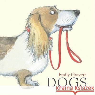 Dogs Emily Gravett Emily Gravett 9781416987031 Simon & Schuster Children's Publishing