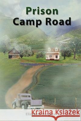 Prison Camp Road Elizabeth Burgess 9781418403607