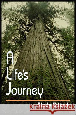 A Life's Journey Cindy Zilinek 9781418425470 Authorhouse