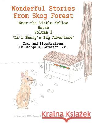 Wonderful Stories From Skog Forest: Near the Little Yellow House Volume 1 'Li'l Bunny's Big Adventure' Peterson, George E., Jr. 9781418437312 Authorhouse
