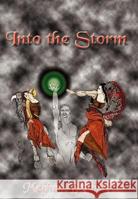 Into the Storm Brunner, Meghan 9781418446574 Authorhouse