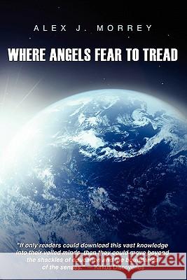 Where Angels Fear to Tread: The Nature of Reality and Meaning of God Alex J. Morrey 9781419626142 BookSurge